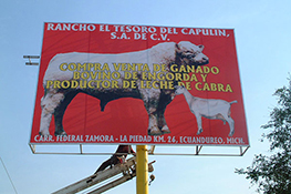 Cartelera